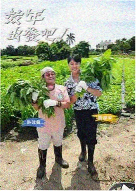 厨房的深夜 免费看视频美食